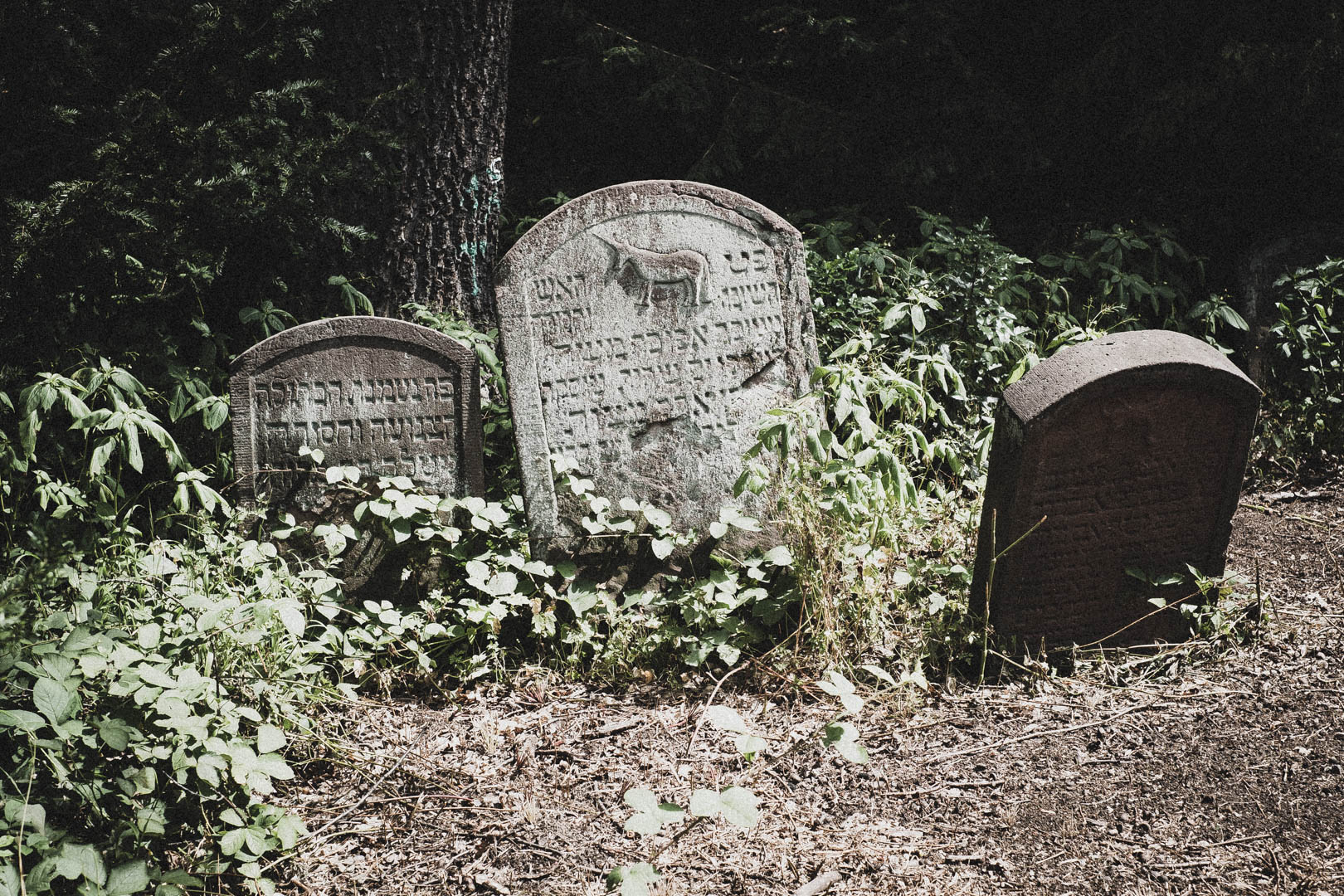 Hanau, Jüdischer Friedhof